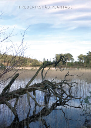 Frederikshåb Plantage