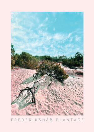 Frederikshåb Plantage