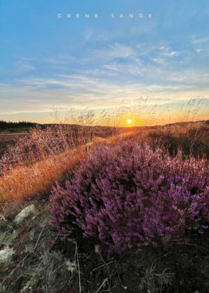 Grene Sande Sunset
