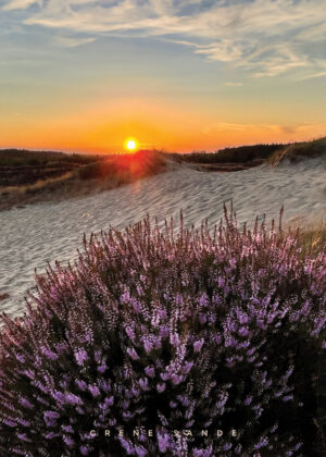 Grene Sande Sunset
